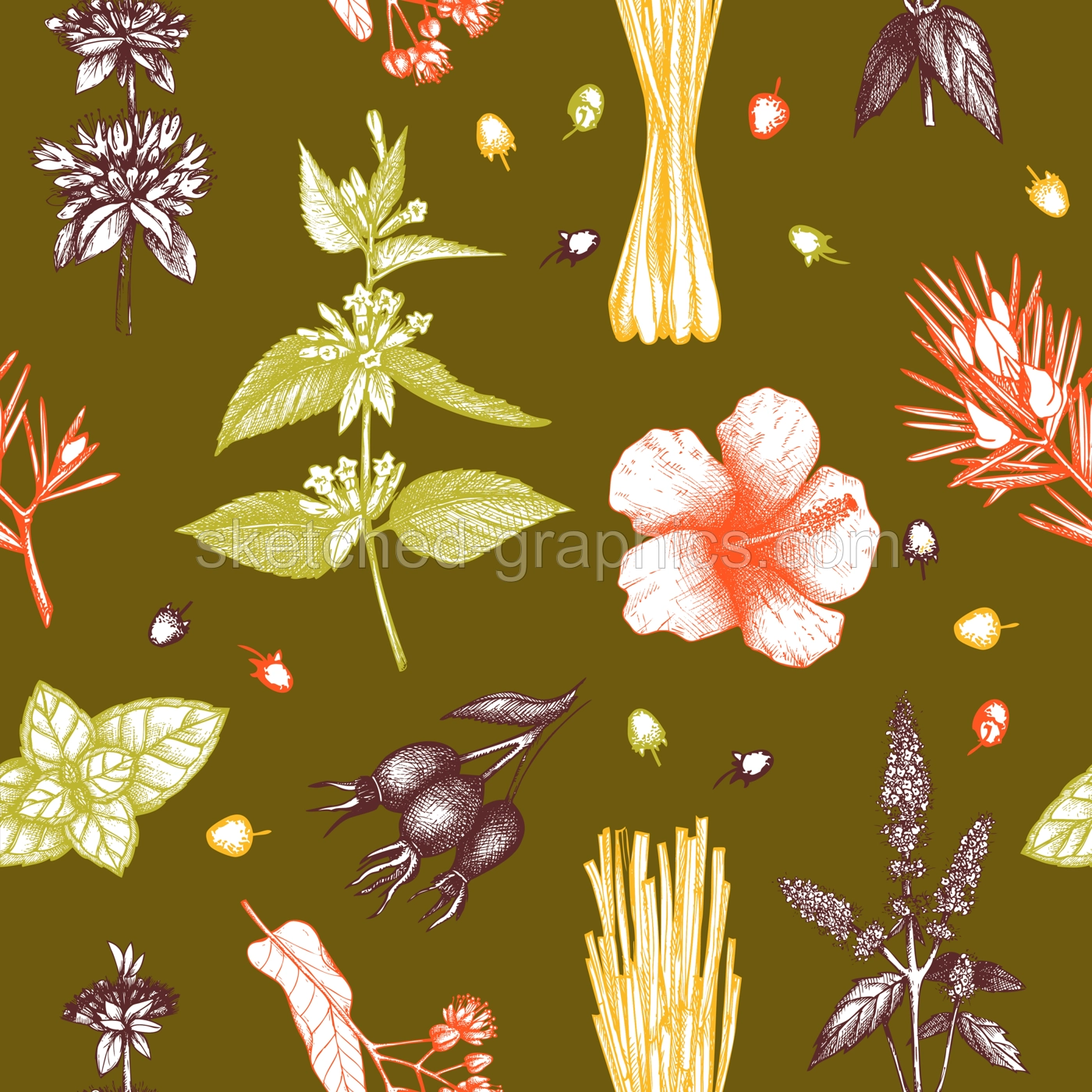 Tea seamless pattern. Herbal tea background. Medicinal herbs sketches. Hand-drawn vector illustration. NOT AI generated Illustration